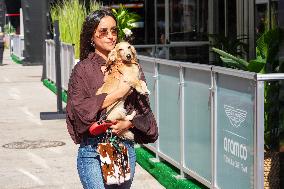 F1 MSC Cruises United States Grand Prix 2025 - Sprint Qualifying