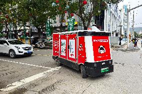 Unmanned Delivery Vehicle