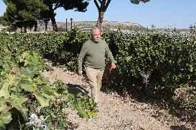 Fan Sneaks Into Stella del Carmen's Banderas Wedding - Spain