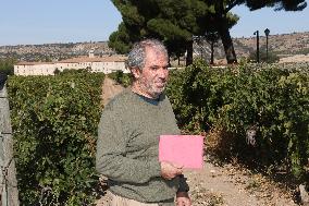 Fan Sneaks Into Stella del Carmen's Banderas Wedding - Spain