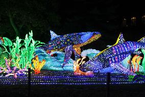 Lantern Festival Celebrated In Budapest - Hungary