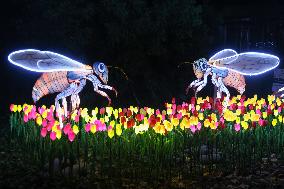 Lantern Festival Celebrated In Budapest - Hungary