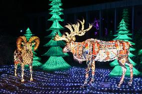 Lantern Festival Celebrated In Budapest - Hungary