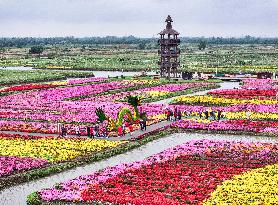 Autumn Scenery Tourism - Chin