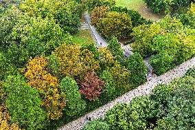 Autumn Scenery Tourism - Chin