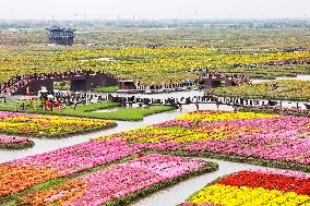 Autumn Scenery Tourism - Chin