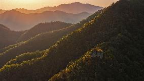 Autumn Scenery Tourism - Chin