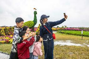 Autumn Scenery Tourism - Chin