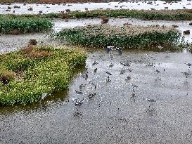 Autumn Scenery Tourism - Chin