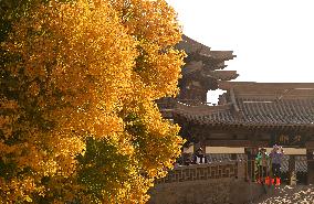 Autumn Scenery Tourism - Chin