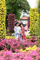 Autumn Scenery Tourism - Chin