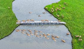 Autumn Scenery Tourism - Chin