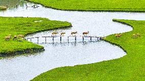 Autumn Scenery Tourism - Chin