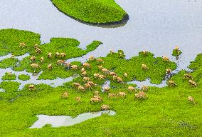 Autumn Scenery Tourism - Chin