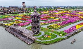 Autumn Scenery Tourism - Chin