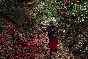 Tibetan Exile Daily Life Dharamsala and McLeod Ganj - India