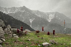 Tibetan Exile Daily Life Dharamsala and McLeod Ganj - India