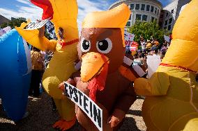 No Kings protest - Washington