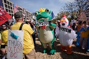 No Kings protest - Washington