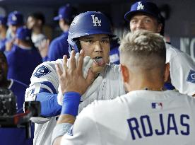 Baseball: NL Championship Series between Brewers and Dodgers