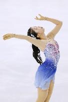 Figure Skating: Grand Prix de France