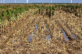 Farmland After Rainy Weather
 in Anyang