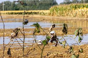 Farmland After Rainy Weather
 in Anyang