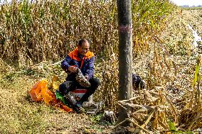 Farmland After Rainy Weather
 in Anyang