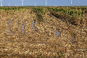 Farmland After Rainy Weather
 in Anyang