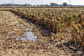 Farmland After Rainy Weather
 in Anyang