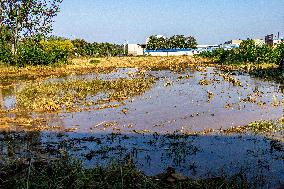 Farmland After Rainy Weather
 in Anyang