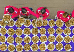 Hongze Lake Hairy Crabs