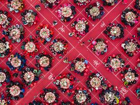 Hongze Lake Hairy Crabs