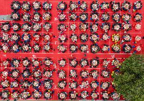 Hongze Lake Hairy Crabs