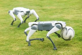 Robotic Dogs Play Soccer