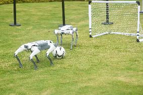 Robotic Dogs Play Soccer