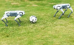 Robotic Dogs Play Soccer