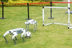 Robotic Dogs Play Soccer