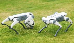 Robotic Dogs Play Soccer