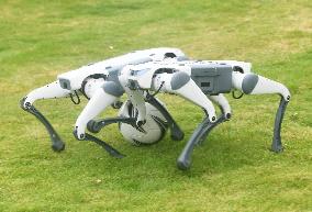 Robotic Dogs Play Soccer