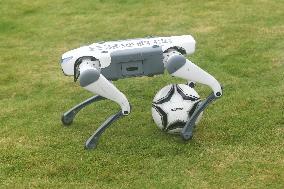 Robotic Dogs Play Soccer