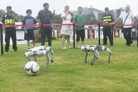 Robotic Dogs Play Soccer