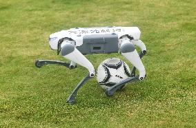 Robotic Dogs Play Soccer