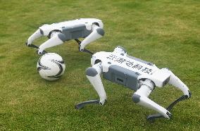 Robotic Dogs Play Soccer