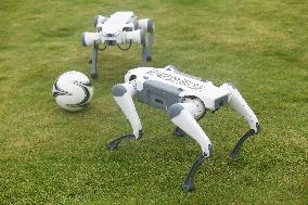 Robotic Dogs Play Soccer