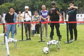 Robotic Dogs Play Soccer