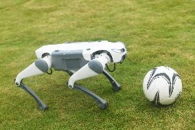Robotic Dogs Play Soccer