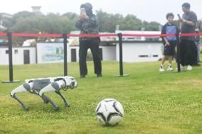 Robotic Dogs Play Soccer