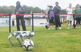Robotic Dogs Play Soccer