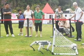Robotic Dogs Play Soccer